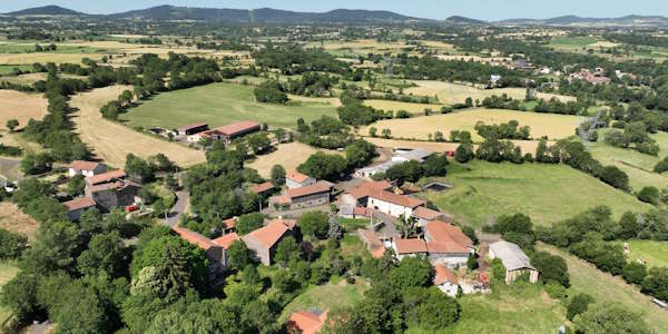 Driaudes